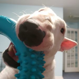 Meet your Posher, Duane